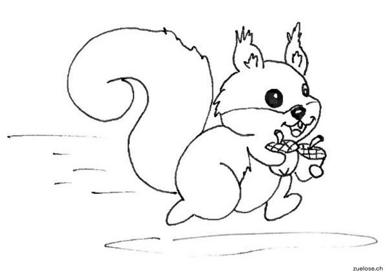 Ausmalbild Eichhörnchen