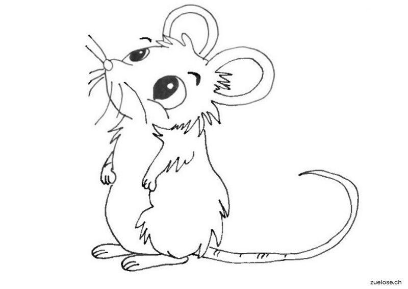 Ausmalbild Waldmaus