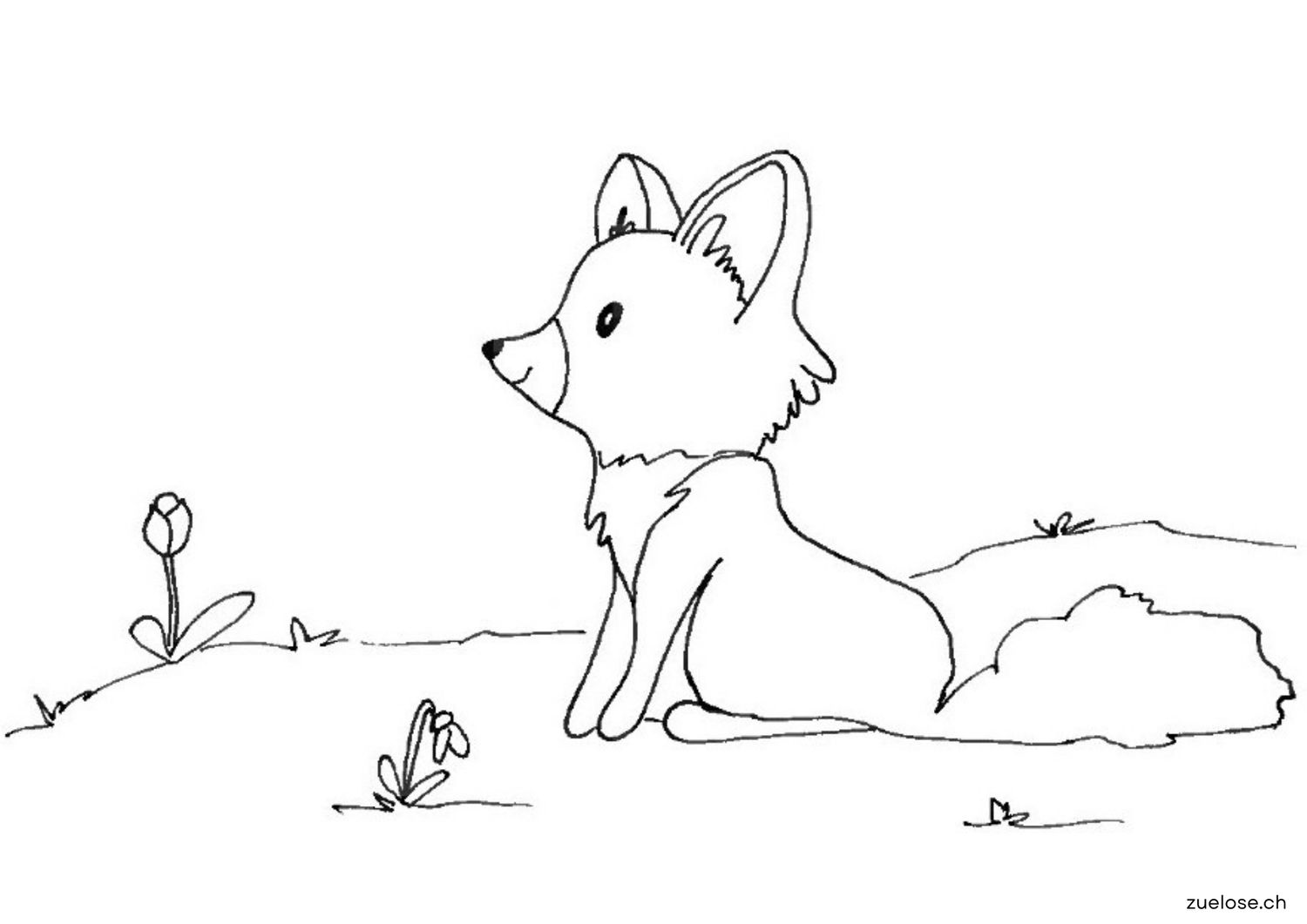 Ausmalbild Fuchs