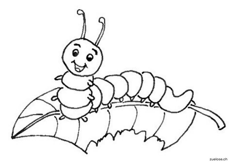 Ausmalbild Raupe