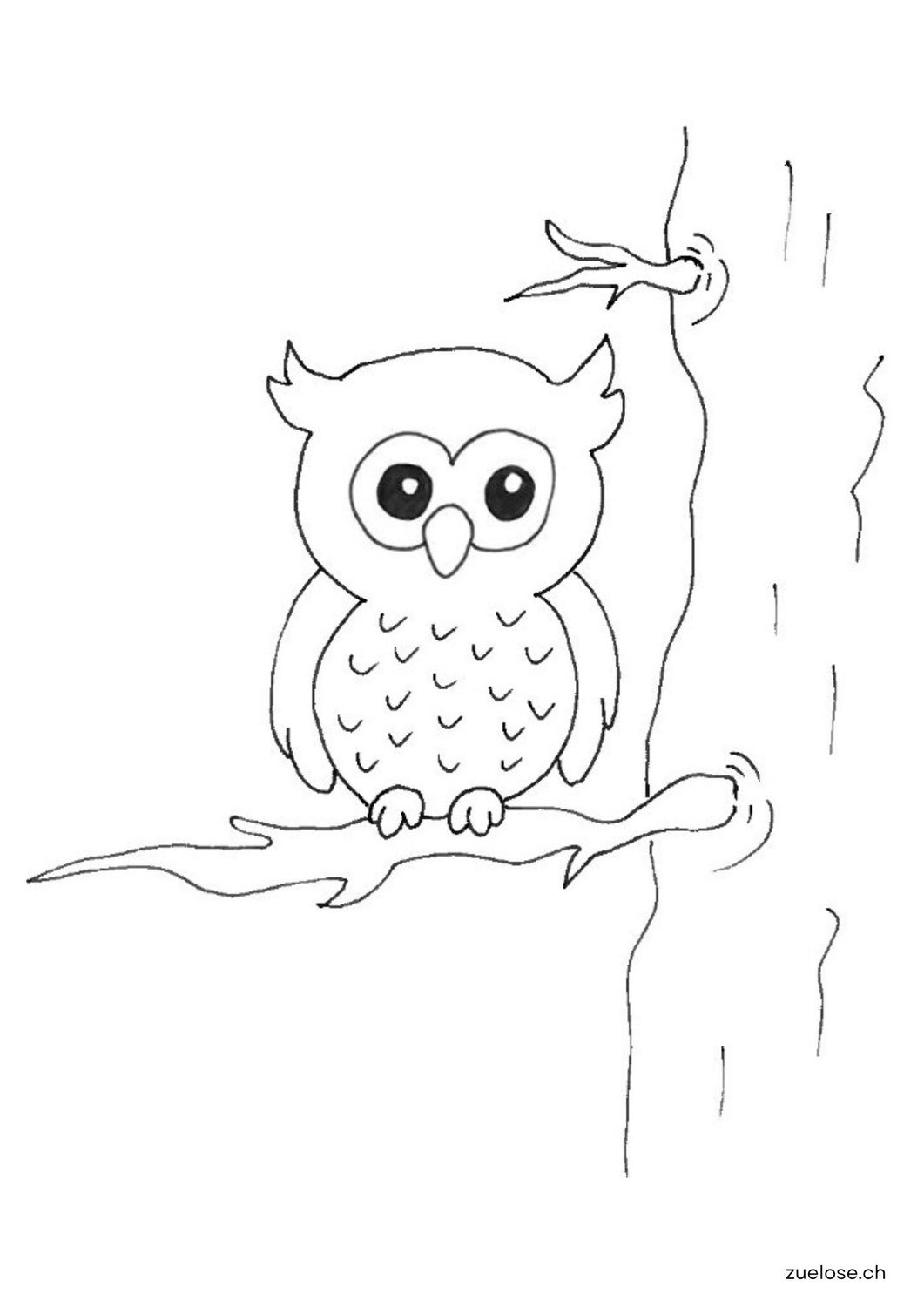 Ausmalbild Eule