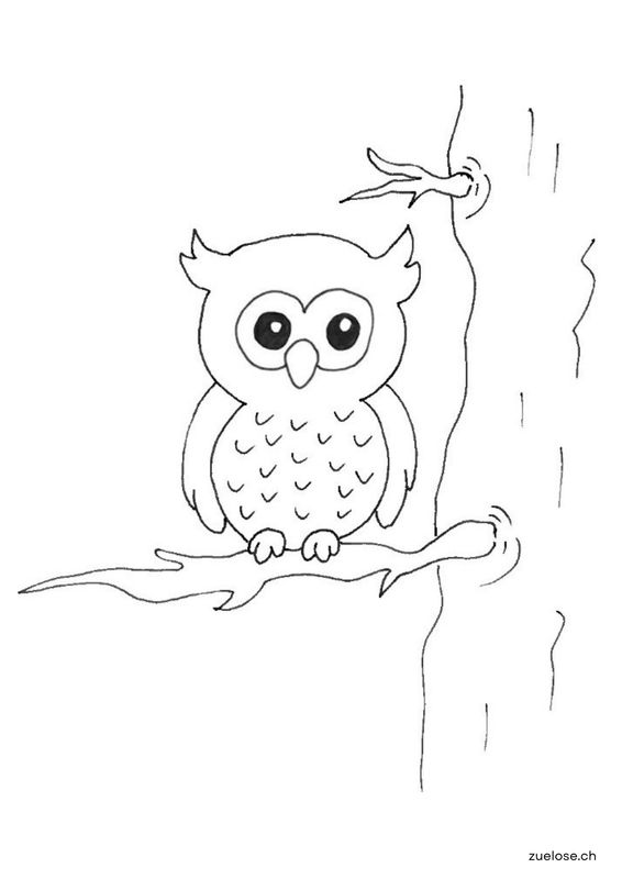 Ausmalbild Eule