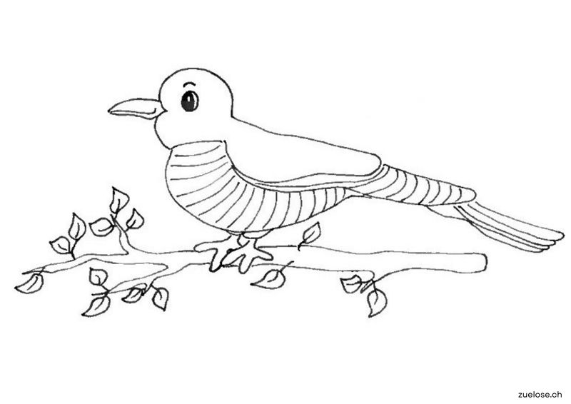 Ausmalbild Kuckuck