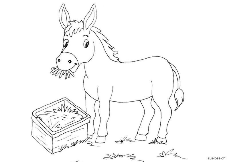 Ausmalbild Esel