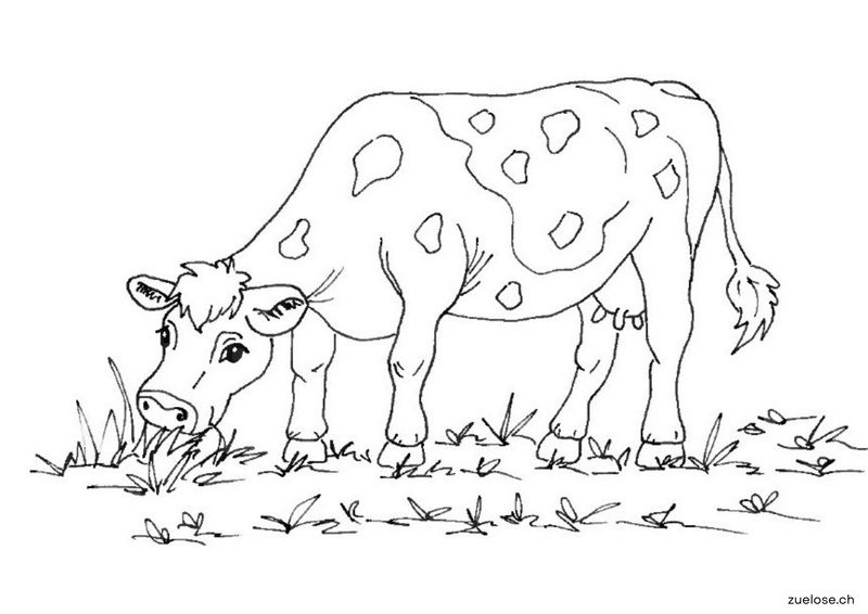 Ausmalbild Kuh