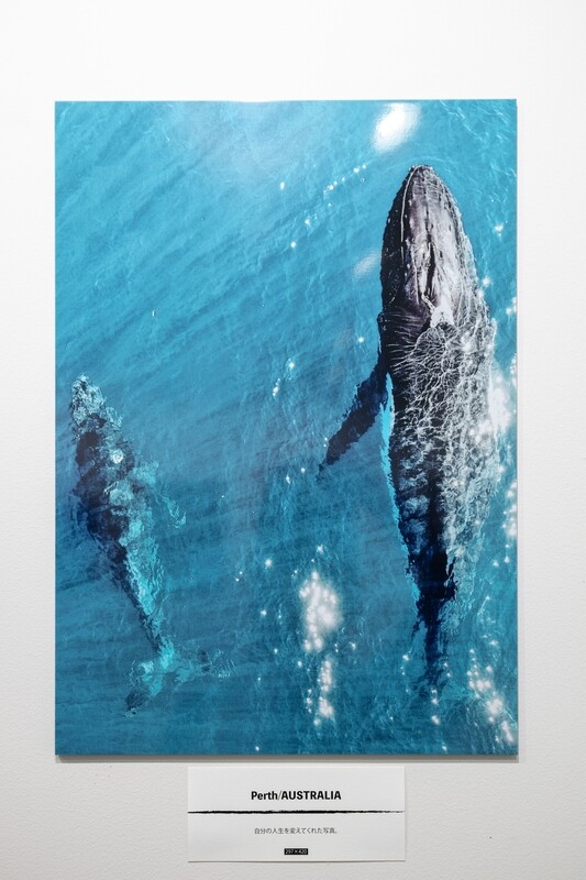 Dear_sir "Art (A3size)"