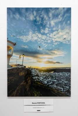 Dear_sir "Art (A3size)"