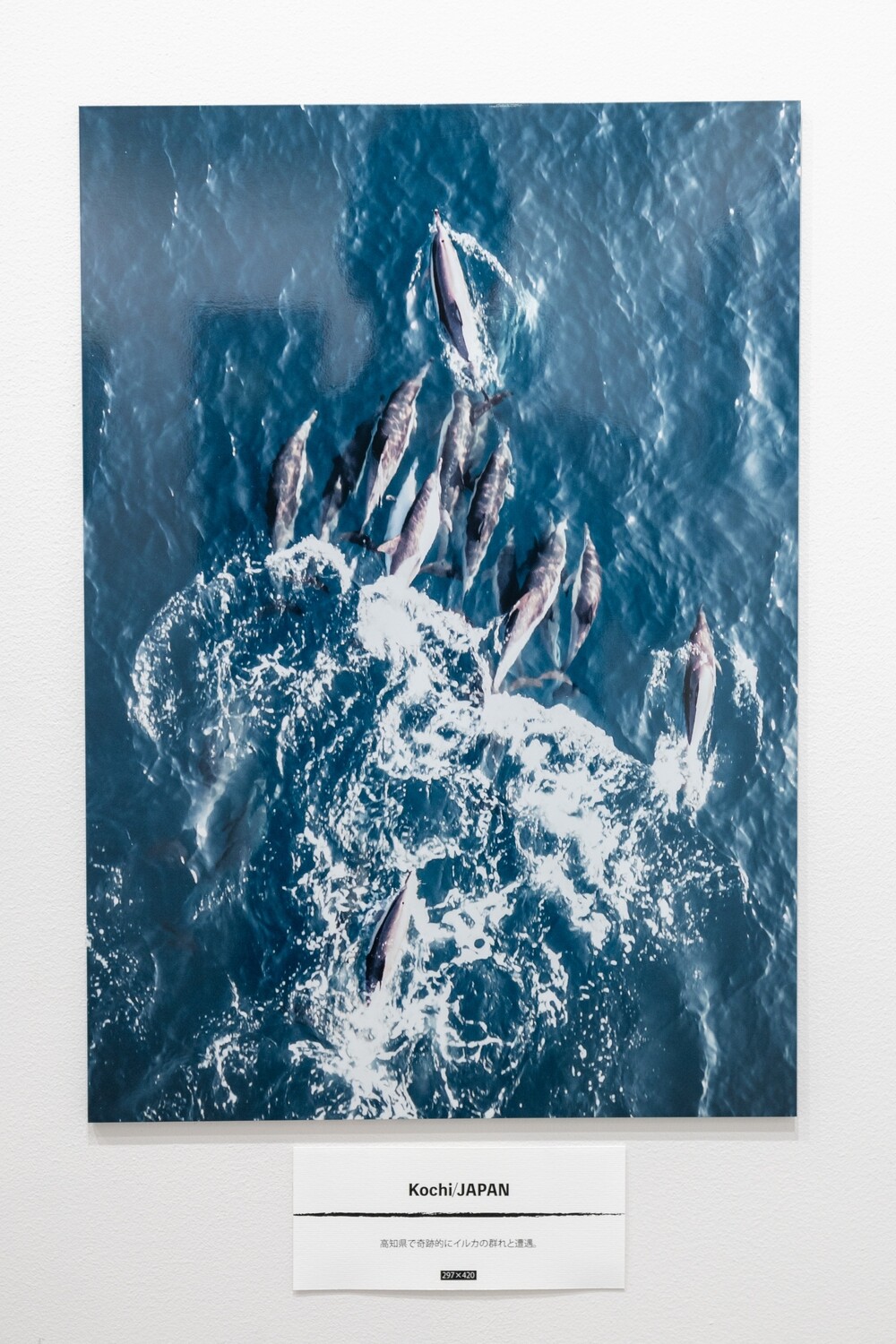 Dear_sir "Art (A3size)"