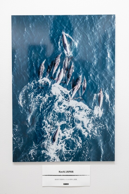 Dear_sir "Art (A3size)"