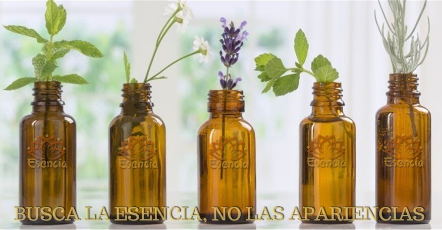 ESENCIAS PURAS PARA PRODUCTOS DE LIMPIEZA X 1000cc