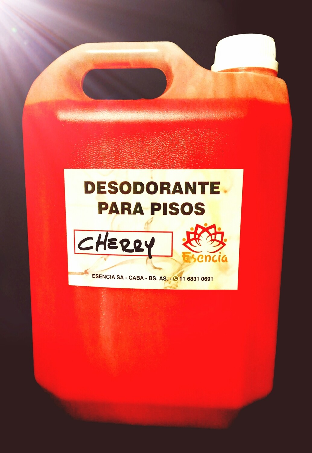 CONCENTRADO DESODORANTES PISOS