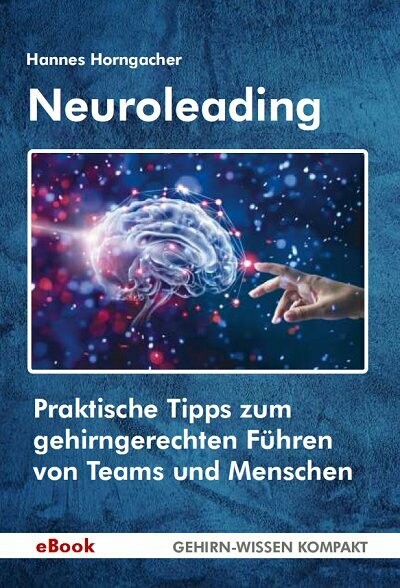 Neuroleading (eBook)