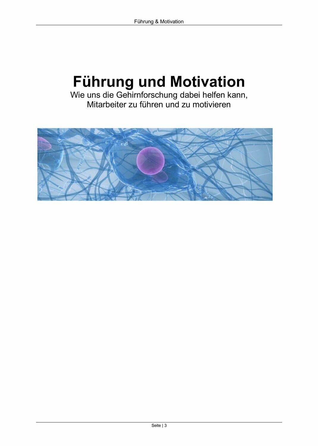 Führung und Motivation (eBook - 33 Seiten)
