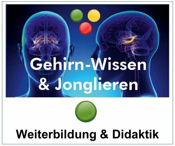 Gehirn-Wissen & Jonglieren für Weiterbildung & Didaktik (1 Tag)