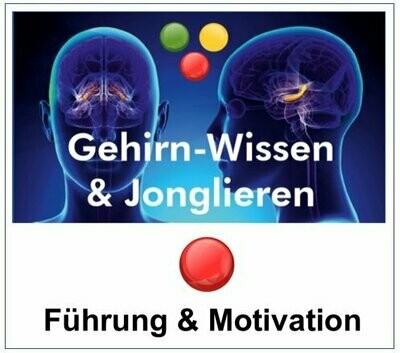 Gehirn-Wissen & Jonglieren für Führung & Motivation (1 Tag)