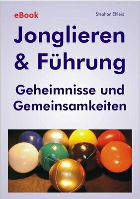 Jonglieren & Führung (eBook/ePub)