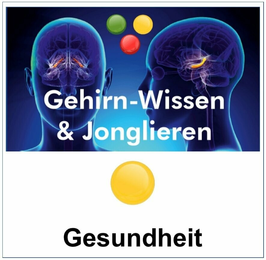 Gehirn-Wissen & Jonglieren für Gesundheitsberufe (1 Tag)