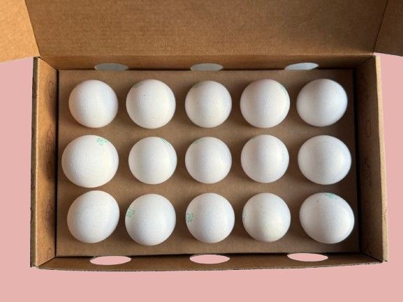 Box (15 eggs)