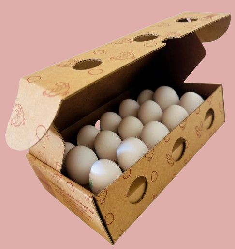 Box (15 eggs)