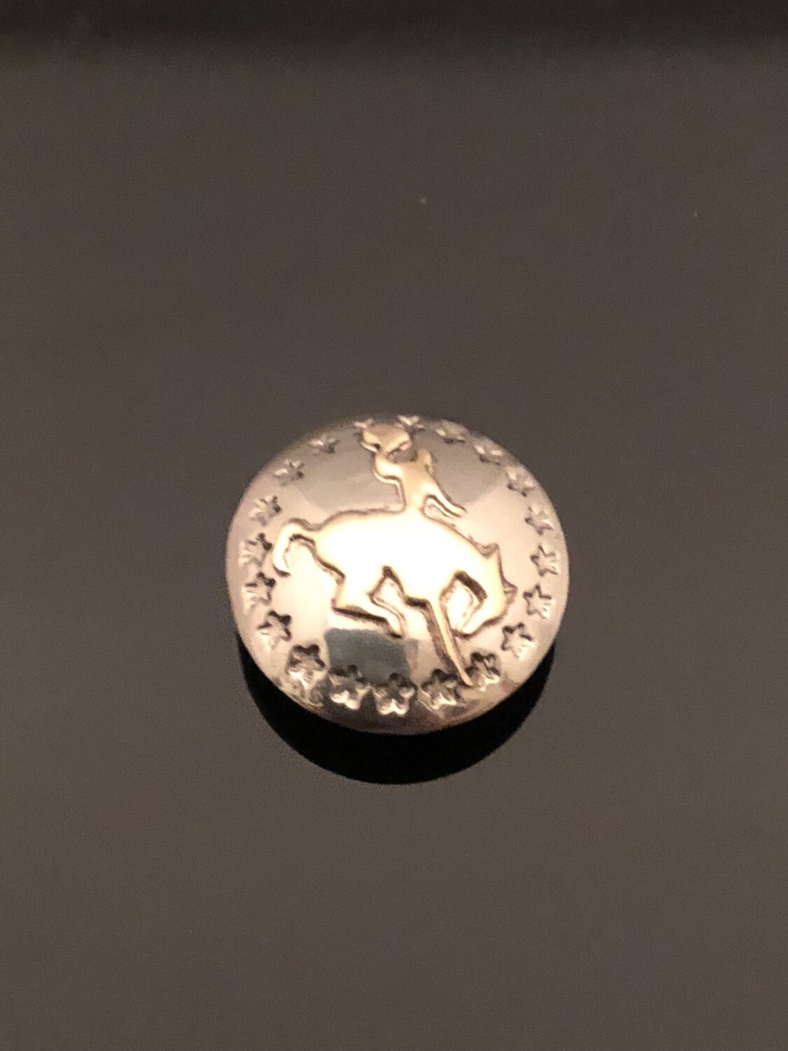 3/4” Bronc Concho With Chicago Screw