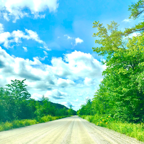 Pathway to Clarity - 3-Session Healing Package Deal (Emotion Code, Body Code, & Belief Code) Pathway to Clarity - 3-Session Healing Package Deal (Emotion Code, Body Code, & Belief Code)