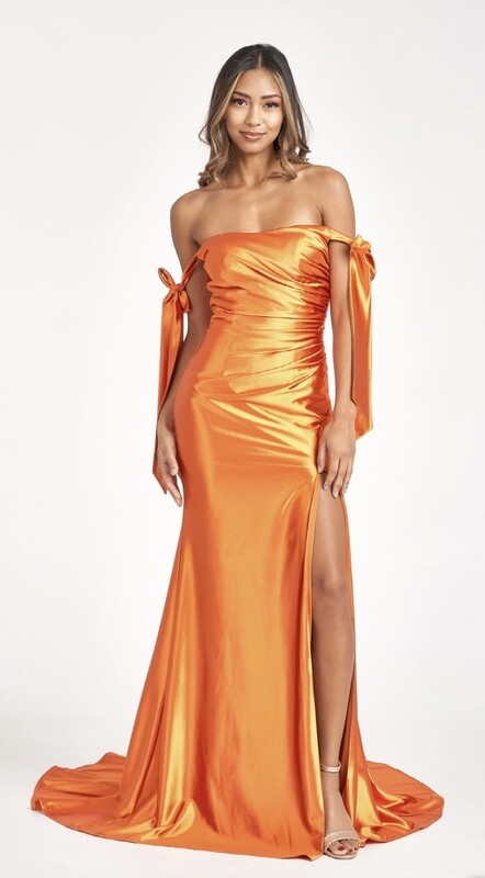 Gathered Bodice Formal