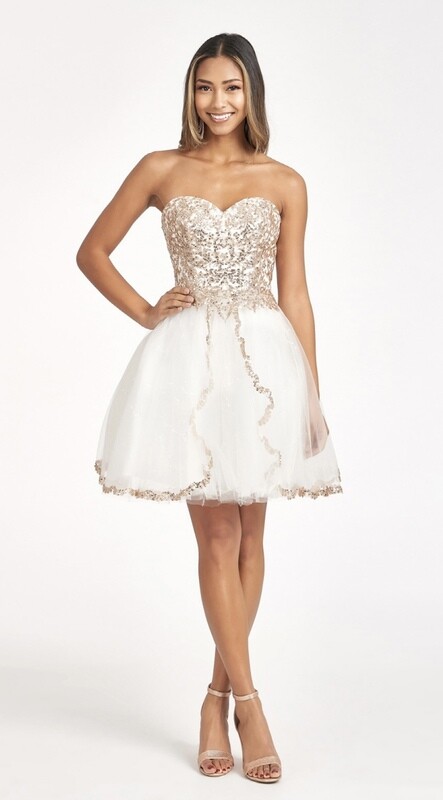Glitter and Sequin Dress