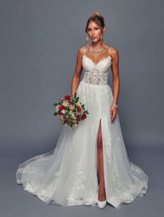 Court Train Gown