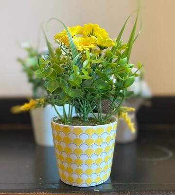 Yellow Daisy in Fancy Pot