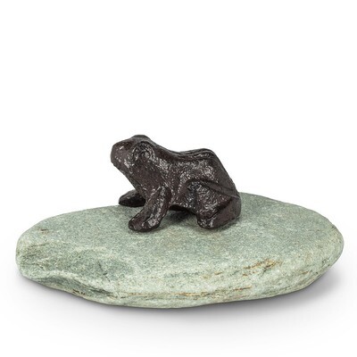 Frog on Natural Stone