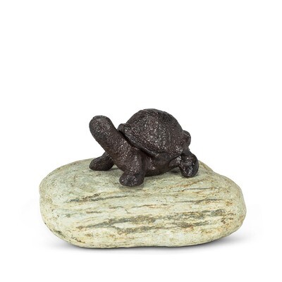Turtle on Natural Stone