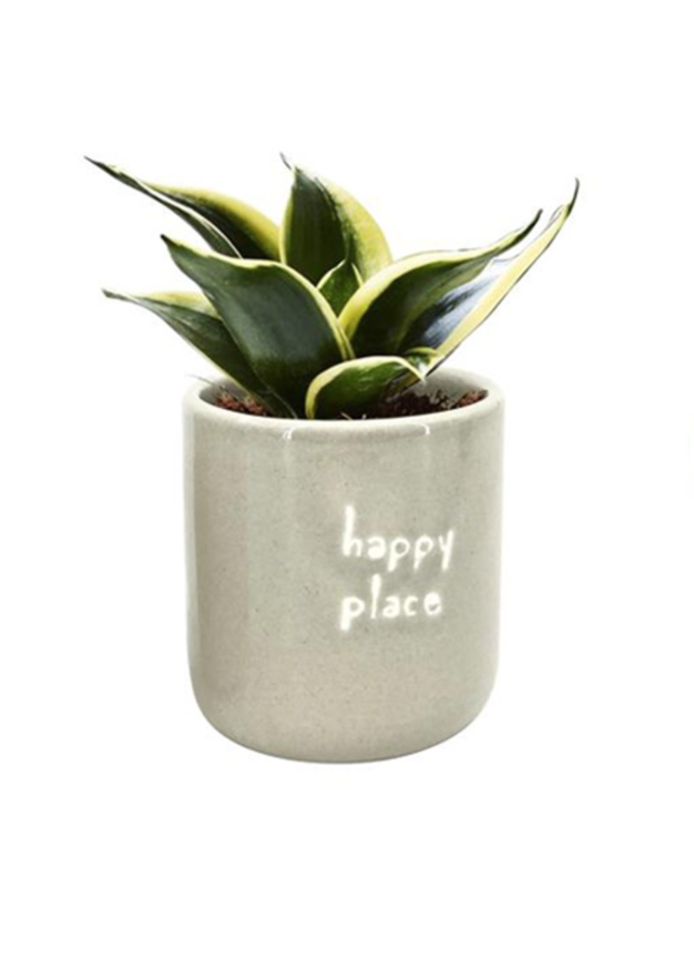 Happy Place Pot