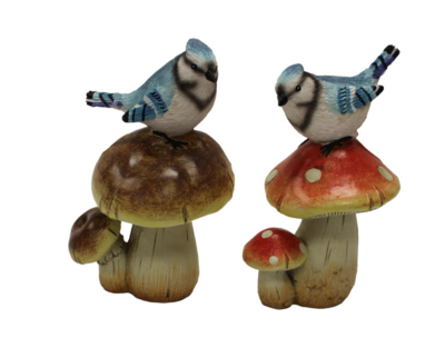 Blue Jay on Mushroom
