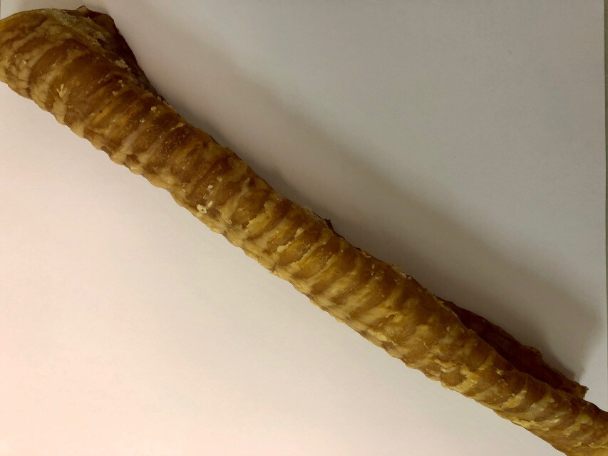 12 in Beef Trachea