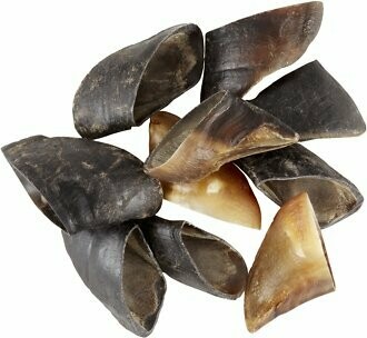 Cow Hooves