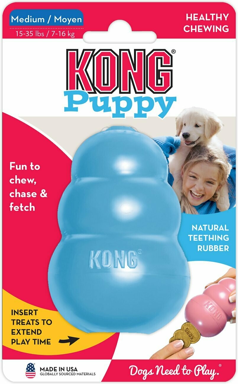 Kong Puppy md blue