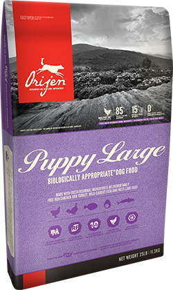 Orijen Puppy Large 25