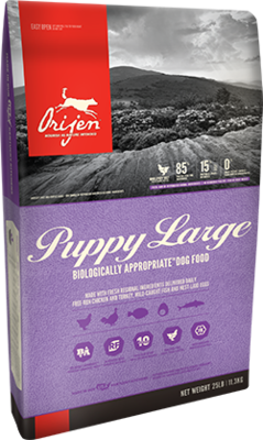 Orijen Puppy Large 25