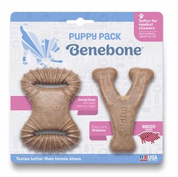 Benebone Wishbone Puppy/Gentle Bacon