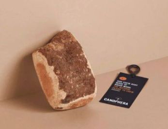 Canophera Briar Wood Chews Lg