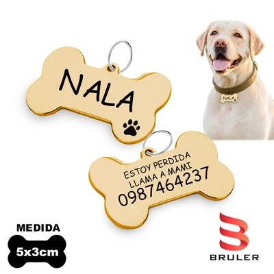 Placa de perro en acero inoxidable dorado 5x3cm