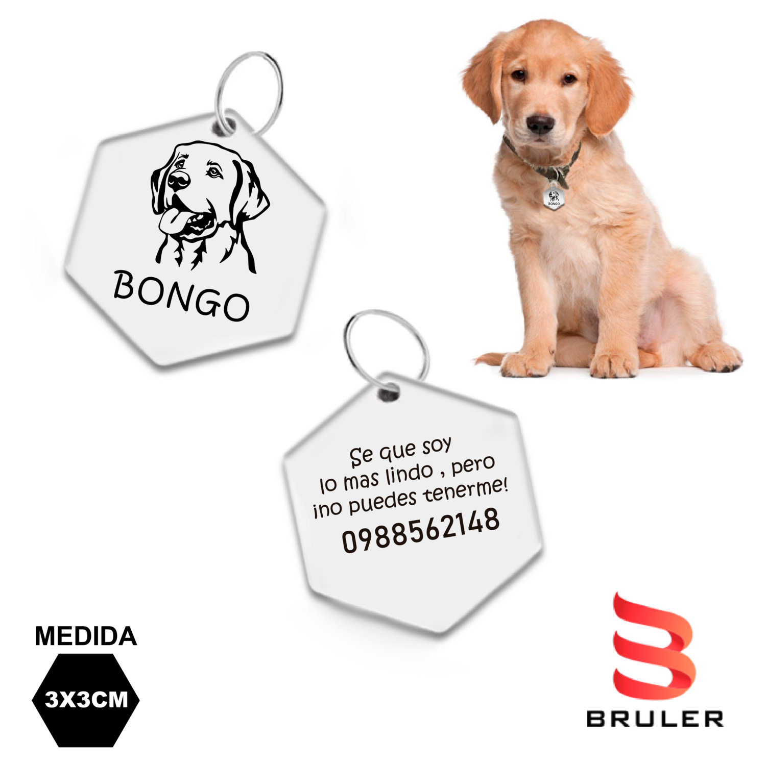 Placa de perro hexagonal acero inoxidable plateado 3x3cm