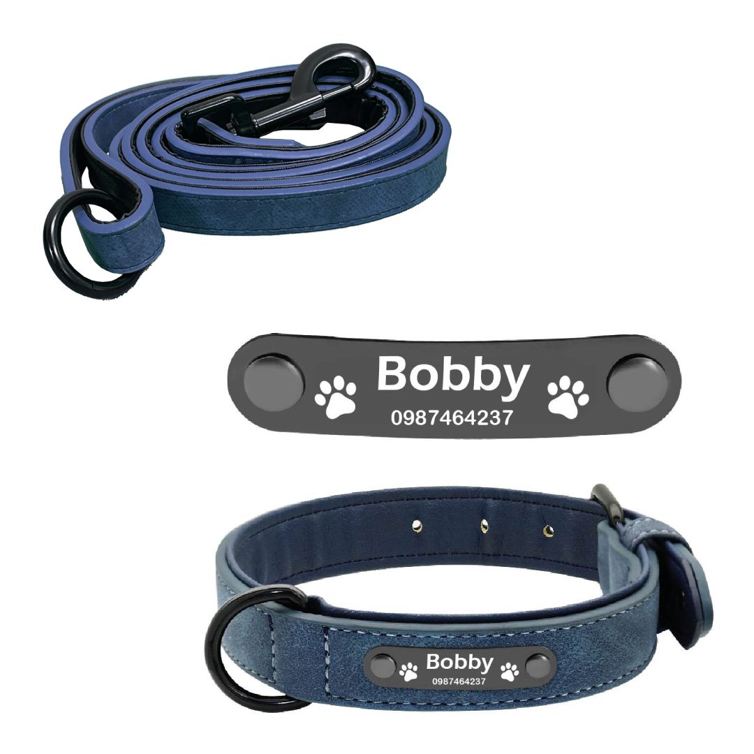 Correa y collar de perro o gato azul personalizado