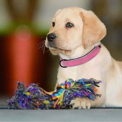 Collar de perro o gato rosa personalizado