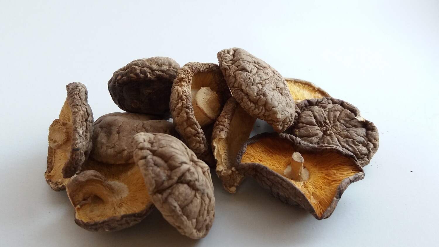 HONGOS SHIITAKE DESHIDRATADOS