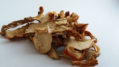HONGOS LOBSTER DESHIDRATADOS