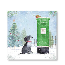 Dog and Postbox