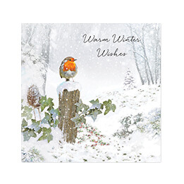 Warm winter wishes Robin