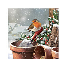 Festive Christmas Robin