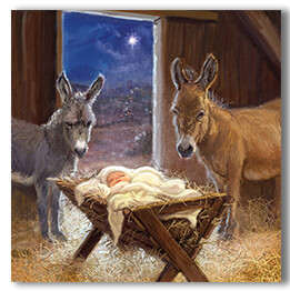 Animal Nativity